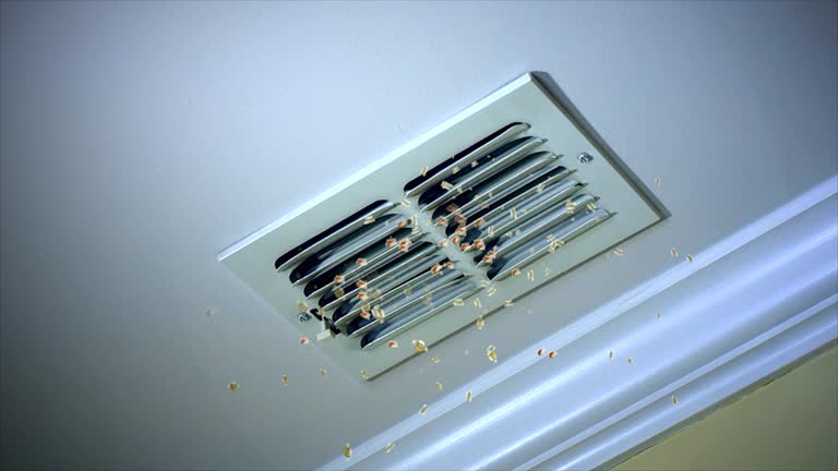 Best Professional Duct Cleaning Services  in New Brighton, PA