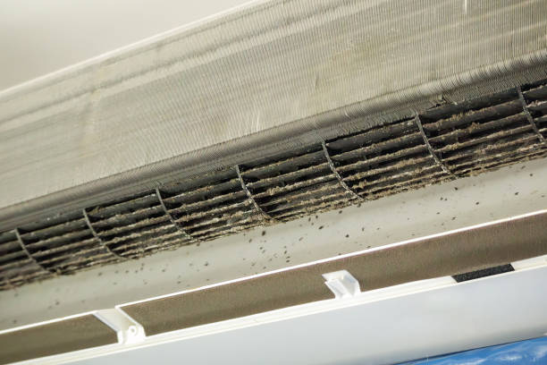 Best HVAC System Cleaning  in New Brighton, PA